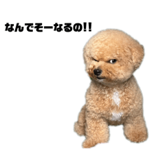 TK_20260623233913