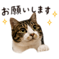 yasu_20260623234705
