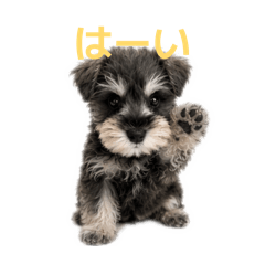 mai_20260624000446