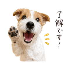 naco_20260624002949