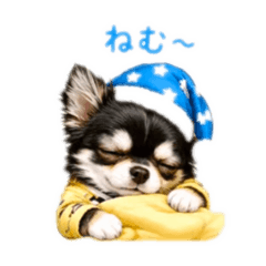 mchupoo_20260624003851