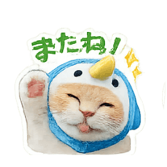 emi_20260623171938