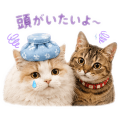 satomi0401_20260623174527