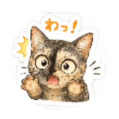 cat_20260623180814