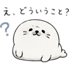 usamoco_20260623192600