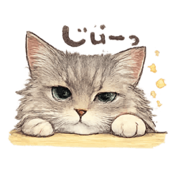 yuji_20260623195147