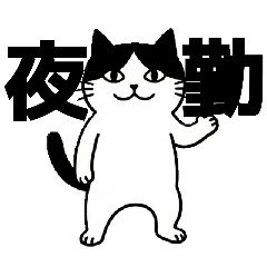 aya_20260623204046