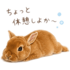 RinMika_20260623213708