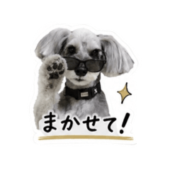 ashmama_20260624052221