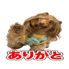 kenken_20260624060038