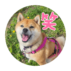 yuka_20260624060309