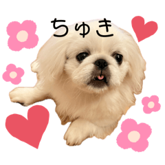 MAYU_20260624075739
