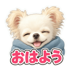 mumu_20260624094425