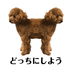 Motyuko