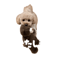 rnb_20260624100714