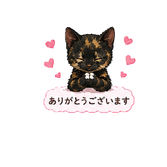 miruco_20260624100831