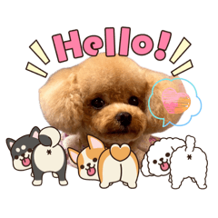 AO_20260624102340