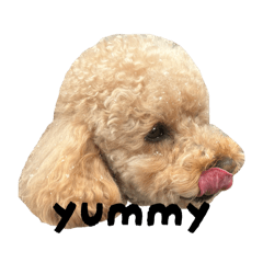 rnb_20260624100535