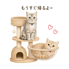 rie_20260624103853