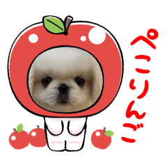 watagechan0318