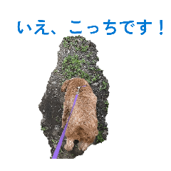ykk_20260624110741