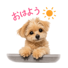 NAO_20260624110130