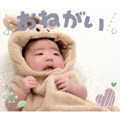 kio_20260624112144