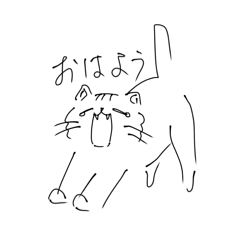 cat_20260624122917