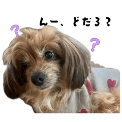 maco_20260624131039