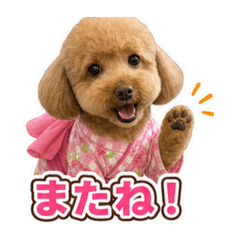 YU_20260624132446