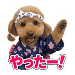 YU_20260624133852