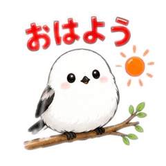 Tomo_20260624140433