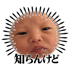 horibe_20260624134525