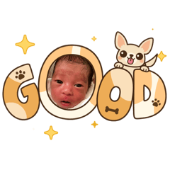 Iroiroirohanihoheto
