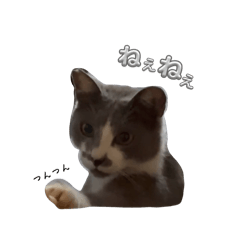 nn_ohagi