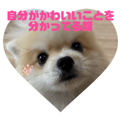 muf_y_20260624142824