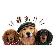 Nana_20260624142355