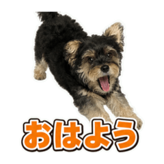 Koichi Hirano_20260623192128