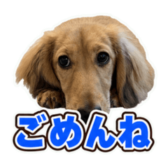 fuku_20260624120451