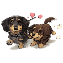 Daily Life of a Dachshund (Illustration)