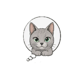 cat's call_20260624190748
