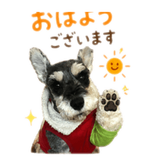 mero_20260624193858