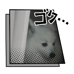 maybe_20260624194245