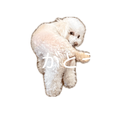 Mumu_20260624214532