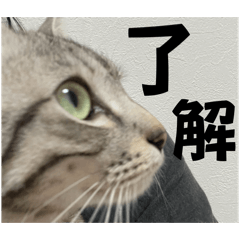 k.Tsuki's daily life