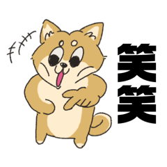 punchan_k4w4_20260624215702