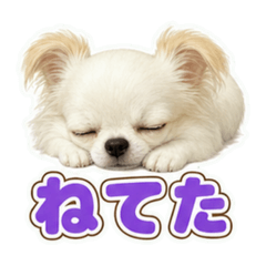 mumu_20260624222104