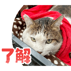 Koutarou_20260624223606