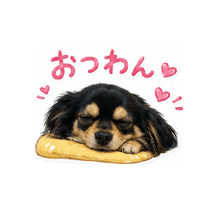 fukky_20260624223628