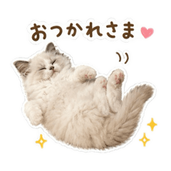 nanami.gaku_20260624230434